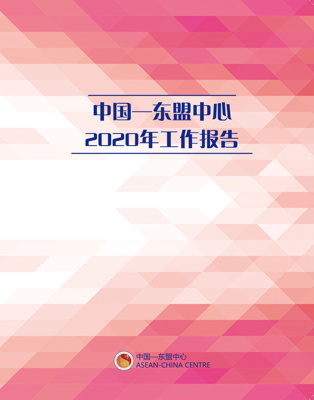 2020年工作報告